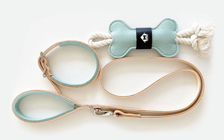 Mint-colored turquoise dog collar and leash laying on a white background.